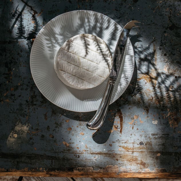 Coltello formaggi teneri | Sambonet